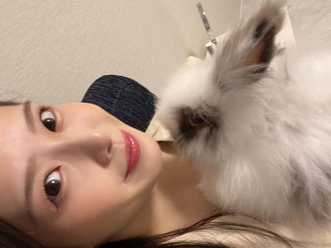 玉木碧のインスタグラム：「愛おしいモフとの時間🥺💓  #３歳 #うさぎ #愛兎 #rabbit #bunny #もふもふ #うさぎのいる暮らし  #うさぎのいる生活  #うさぎ好きさんと繋がりたい」