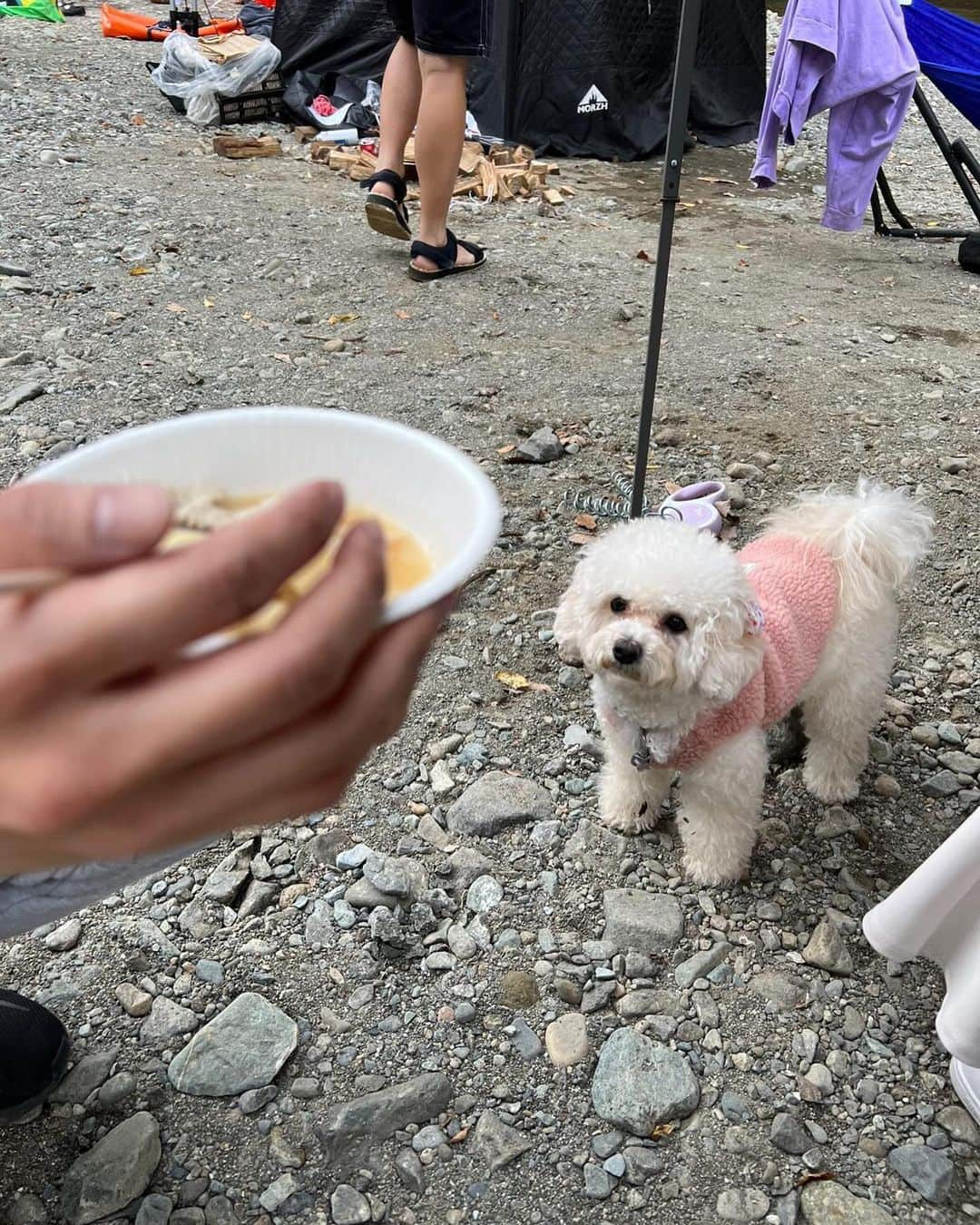 ききまるさんのインスタグラム写真 - (ききまるInstagram)「川サウナ　with 梅子🐶 . #バカンス村　でテントサウナ🏕 控えめに言ってサイコーーーーーーー . 少し葉っぱが色付いていて水も綺麗なブルー！！眼福でした🍁 . .  ------------------------------  💖@kikigram_97 ←インスタ歴10年フォロワー43万人 💖 -13kgダイエット成功リバウンド無し 💖1997.08.21 168cm 💖骨格ウェーブandナチュラル　イエベ秋 💖猫と犬との幸せな暮らし 💖事務所無所属(フリーランスインフルエンサー) →お仕事ご依頼はDMにて📩🤲🏻 💖TikTok♪、Twitter🕊も 💖KADOKAWAさんから写真集発売中 ！ 詳しくはプロフィールのURLから . フォロー、保存、コメント喜びます✨      　@kikigram_97   ----------------------------- . .  サウナ女子 #サウナイキタイ #サウナー #サウナ部　#テントサウナでととのう #天然水風呂 #アクティブ女子 #アウトドア #アウトドア女子　 #サウナ好きな人と繋がりたい #サウナイキタイ #サウナ部 #サウナ好き #サウナガール #サウナー女子 #東京サウナ　#サ活 #サ活女子 #サ活日誌　#外気浴 #外気浴最高」11月13日 14時43分 - kikigram_97