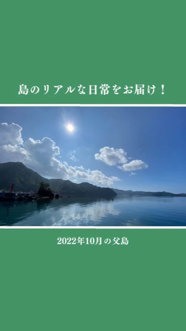 小笠原村観光協会のインスタグラム：「【島の日常をお届け！】2022年10月の父島  小笠原諸島の父島の生活ってどうなの？ 観光の楽しみ方は？ 月ごとの小笠原はどんな感じなの？  そんな様々な疑問にお答えできるように、父島の日常やイベントなどをお届けするこの企画！ 今回は「2022年10月の父島」をお届けします！！  10月は、 ウミガメ「かなめ」の放流 海上救難訓練 観光船・実習船 ハロウィン   などがありました♪  #小笠原  #小笠原諸島  #父島  #ogasawara  #boninisland  #ogasawaraisland  #chichijima #島暮らし  #小笠原の日常  #離島暮らし  #ここも東京  #船で24時間  #ぱしふぃっくびいなす  #海上自衛隊 #海のある生活  #boninblue  #ボニンブルー  #ウミガメ #アオウミガメ  #ウミガメ放流  #秋 #ogasawalove  #10月の小笠原」