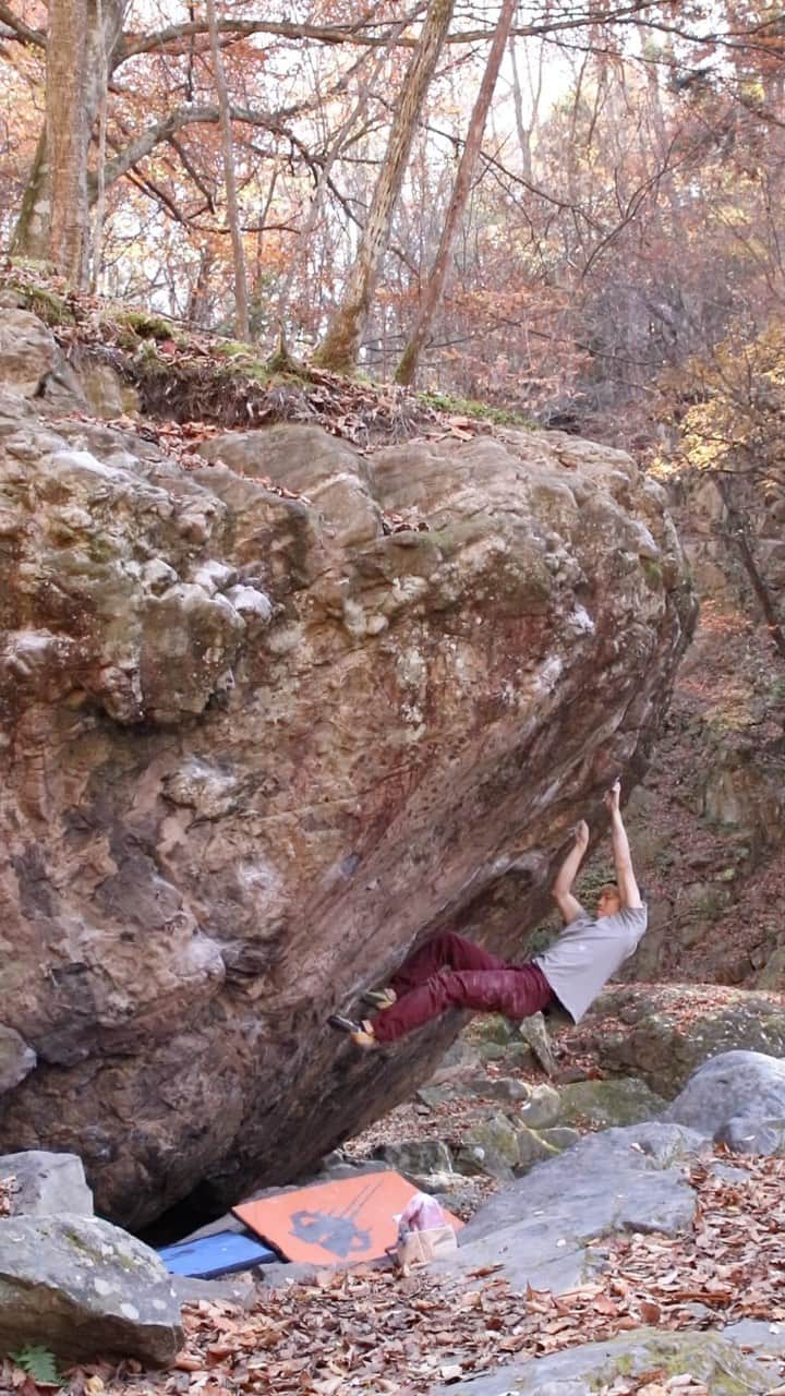 石松大晟のインスタグラム：「・ Oxalis／V14 🎥  @lasportivajp  @carbongrip  @thoufun_official  @mudhand_cb  ________________________________________________________________________  #climbing #bouldering #rockclimbing #climbing_videos_of_instagram #bouldering_videos_of_instagram #クライミング #ボルダリング #ロッククライミング」