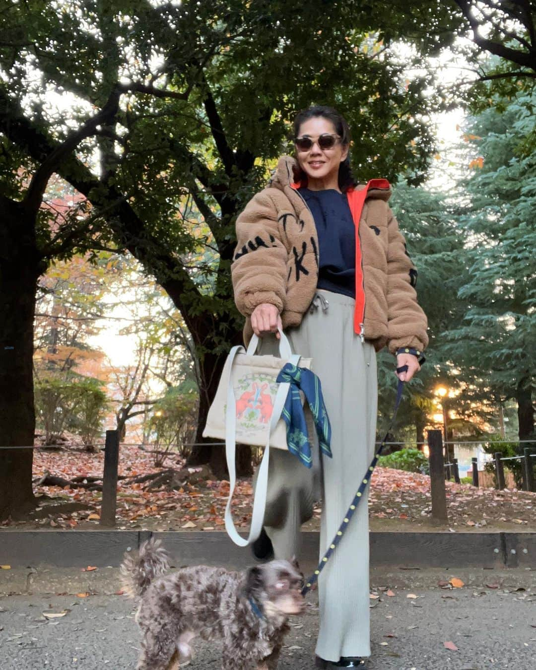 前田典子さんのインスタグラム写真 - (前田典子Instagram)「#お散歩 #ぐっさんぽ🐕  #紅葉🍁  仔象が木に水を与えている柄のバック　🐘🌳⛲️🐘は @huntingworld_official  #ハンティングワールド2022AW #ボルネオチャリティープロジェクト 動物や自然をサポートする  #チャリティーグッズ #オーガニックコットン #軽量バック#バンダナ付き  #ボルネオ島生物多様性保全#charitygoods #borneocharityproject  #huntingworldnyc」11月13日 10時03分 - maenorichang