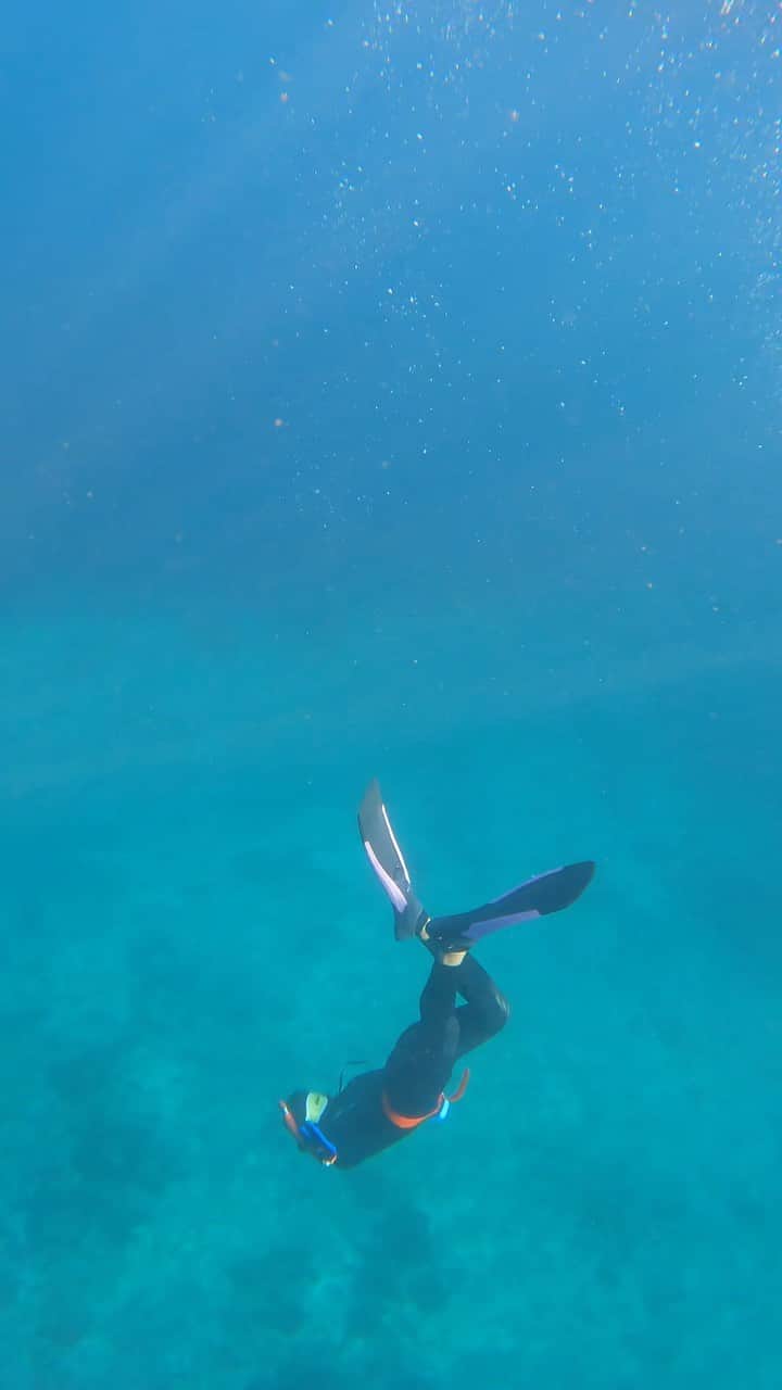 Hikaru Nakamuraのインスタグラム：「ウェットスーツを手に入れたので11月の静岡の海で トレーニング  もうドルフィンスイム行けそうー？🐬  #スキンダイビング#フリーダイビング#海#伊東#静岡#スポーツの秋#skindiving#sea#」