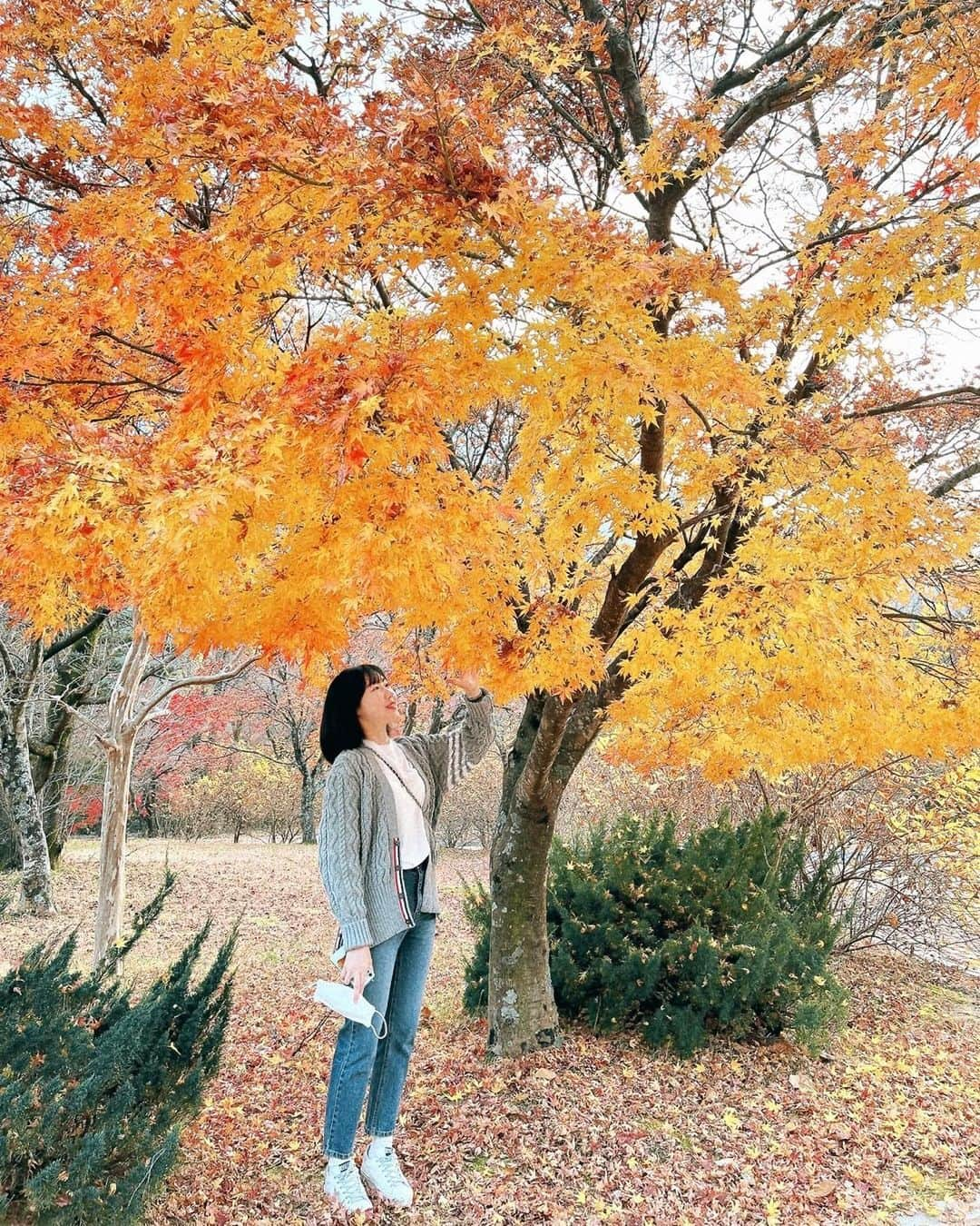 ジンジュ のインスタグラム：「🍁  #가을 #설악산」