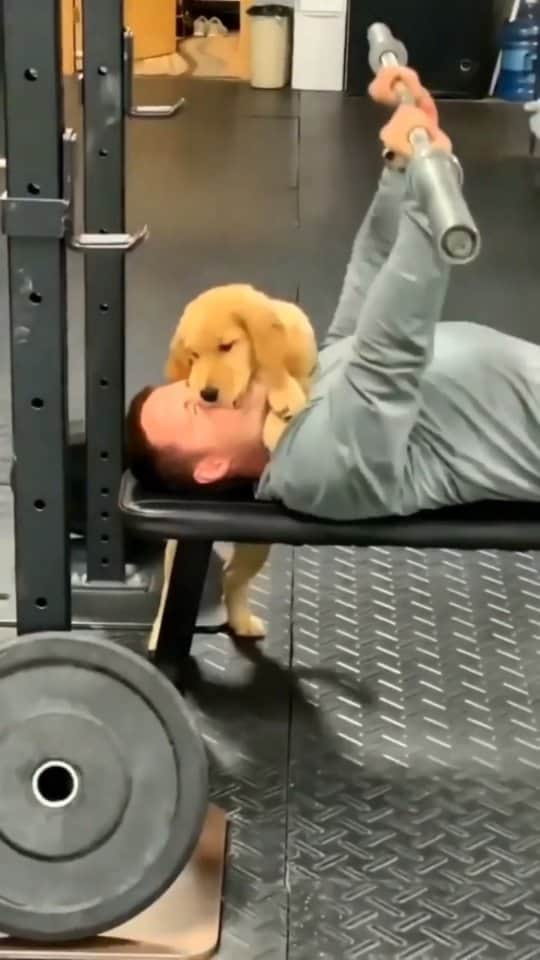 Beautiful Nature & Animalsのインスタグラム：「Best gym PAWtner ever 🐶 By @crossfitmilescity」