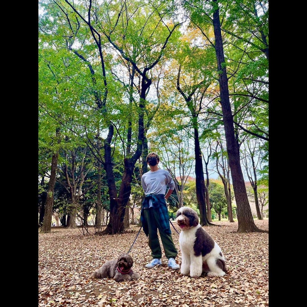 木村拓哉さんのインスタグラム写真 - (木村拓哉Instagram)「⁡ ⁡ ⁡ 「普通が1番なんやで❕って肉子ちゃんが言ってたけど、本当ですね。 朝起きてストレッチして、ブランチを食べて犬達と散歩して…。 最高❕」 ⁡ PEACE‼︎ ⁡ STAYSAFE! ⁡ 拓哉 #木村拓哉 #TakuyaKimura」11月13日 15時15分 - takuya.kimura_tak