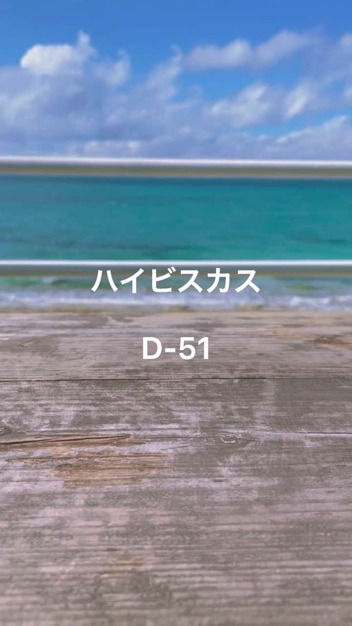 YASUのインスタグラム：「まだ暑い沖縄。 今年最後の夏旅行。 水着忘れた😇  #沖縄 #夏 #海がある生活 #d51  #ハイビスカス #ウクレレ」