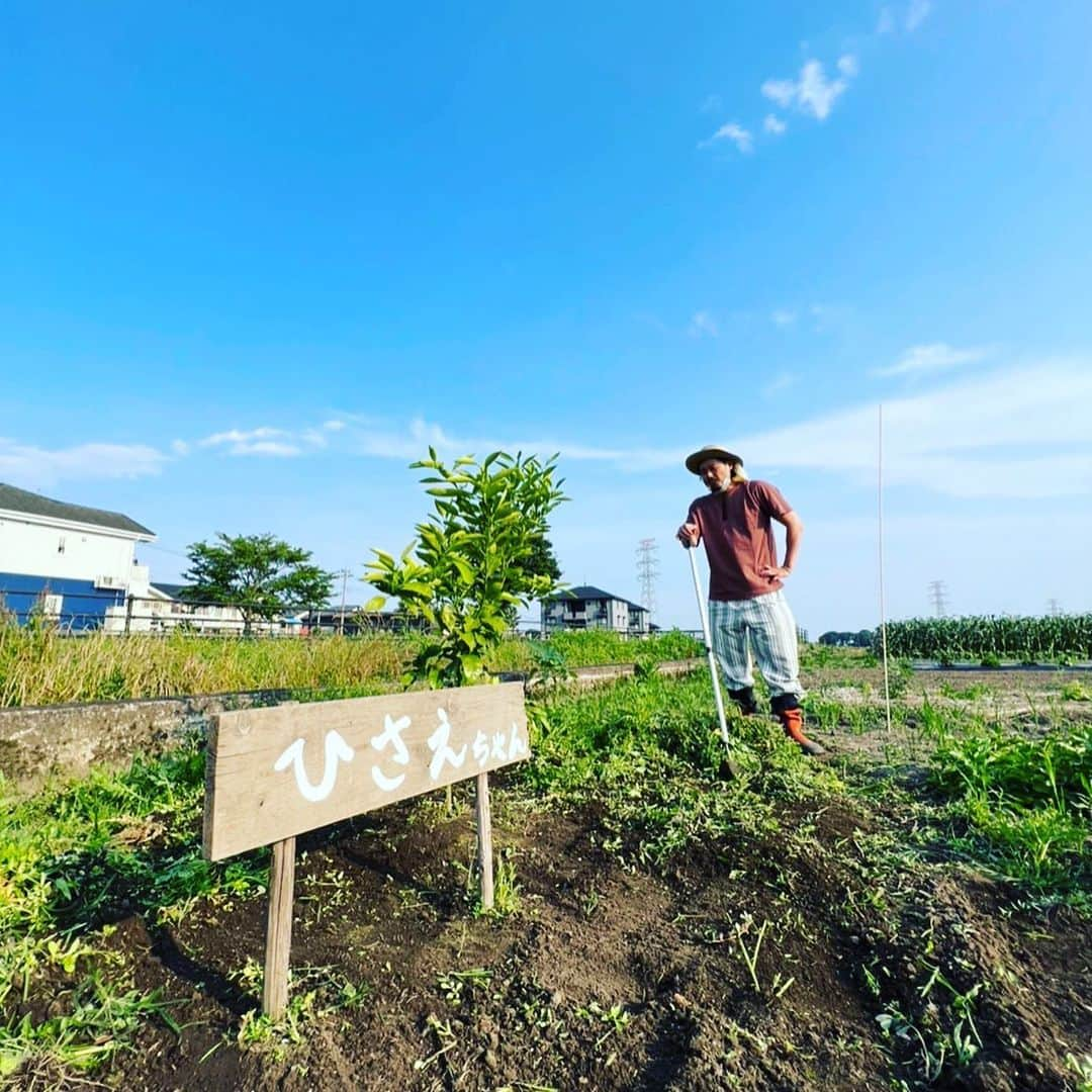 渡邉裕規さんのインスタグラム写真 - (渡邉裕規Instagram)「. farmers style👨‍🌾」11月13日 17時07分 - onabe.13