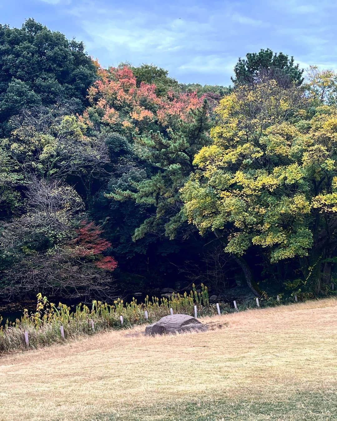 藤井夏恋さんのインスタグラム写真 - (藤井夏恋Instagram)「Earthing🌏🌱😌🦶🫴」11月13日 18時17分 - fujiikaren_official