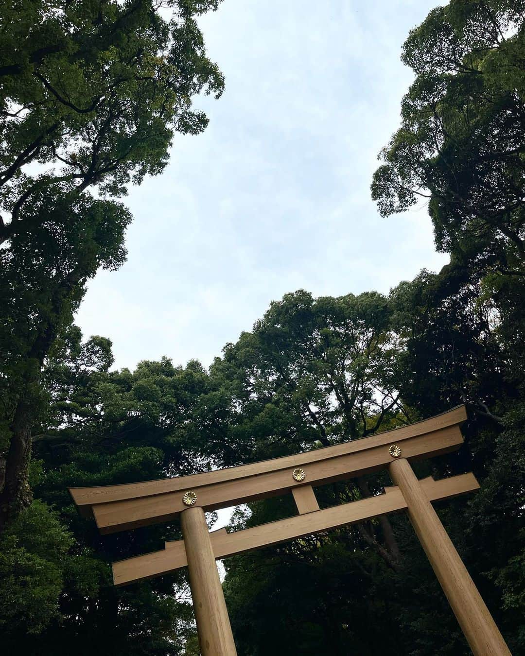 藤井夏恋さんのインスタグラム写真 - (藤井夏恋Instagram)「Earthing🌏🌱😌🦶🫴」11月13日 18時17分 - fujiikaren_official