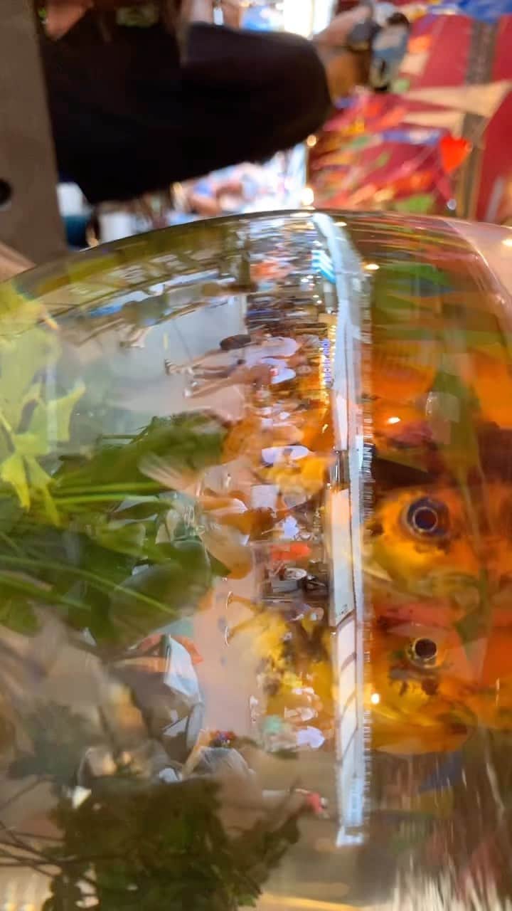 phantastic420のインスタグラム