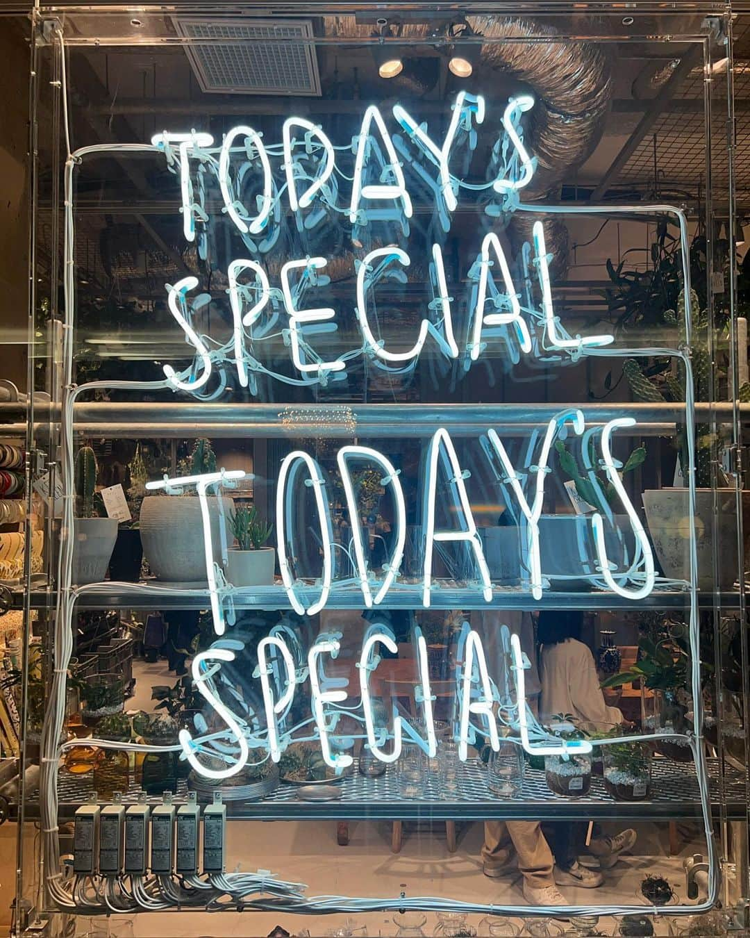 秋山レイのインスタグラム：「Today’s special 🖤」