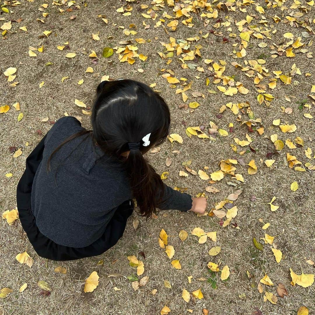 近藤千尋さんのインスタグラム写真 - (近藤千尋Instagram)「親友がとってくれた🍁写真🤳  今日はいつものメンバーで 遊びに行ってきました🚘👧👧👧👦 はちゃめちゃだけど 夜はぐっすり寝てくれる。。笑  落ち葉にはしゃぐ子供たち🍂 降りてくれない、ゴーカート🚙笑 何回やったかな。笑  動物さんたちにも癒されたところで 母ちゃんはもう一仕事してから 寝るとします。。🙋🏻‍♀️💓  明日からまた月曜日❣️ 頑張りましょう〜☺️」11月13日 21時56分 - chipichan.1215