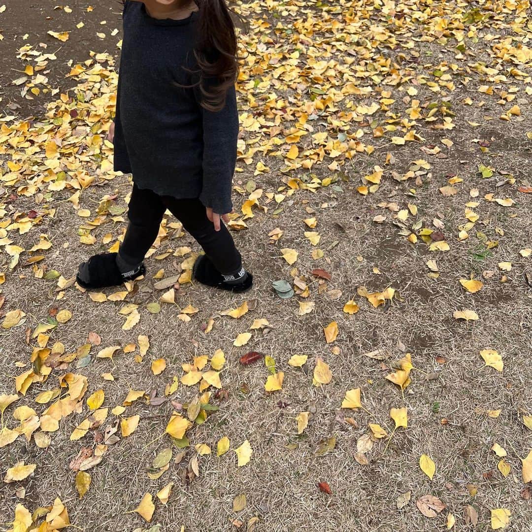 近藤千尋さんのインスタグラム写真 - (近藤千尋Instagram)「親友がとってくれた🍁写真🤳  今日はいつものメンバーで 遊びに行ってきました🚘👧👧👧👦 はちゃめちゃだけど 夜はぐっすり寝てくれる。。笑  落ち葉にはしゃぐ子供たち🍂 降りてくれない、ゴーカート🚙笑 何回やったかな。笑  動物さんたちにも癒されたところで 母ちゃんはもう一仕事してから 寝るとします。。🙋🏻‍♀️💓  明日からまた月曜日❣️ 頑張りましょう〜☺️」11月13日 21時56分 - chipichan.1215