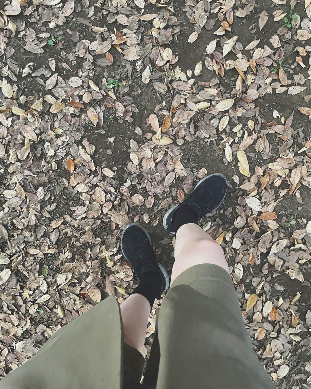傳谷英里香さんのインスタグラム写真 - (傳谷英里香Instagram)「. 散歩した昨日。 今年はちゃんと秋があって嬉しい🍁」11月13日 22時19分 - erika_denya