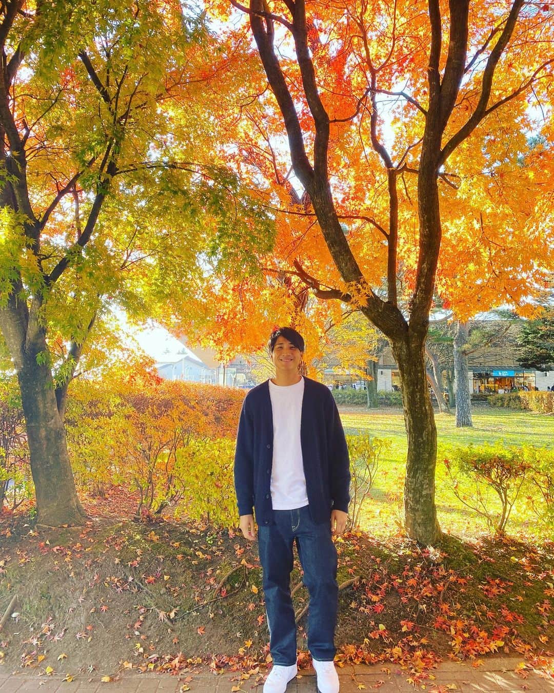 山本紘之のインスタグラム：「秋ですね〜  油断してるとあっという間に冬になっちゃうんだから！  #紅葉 #🍁」