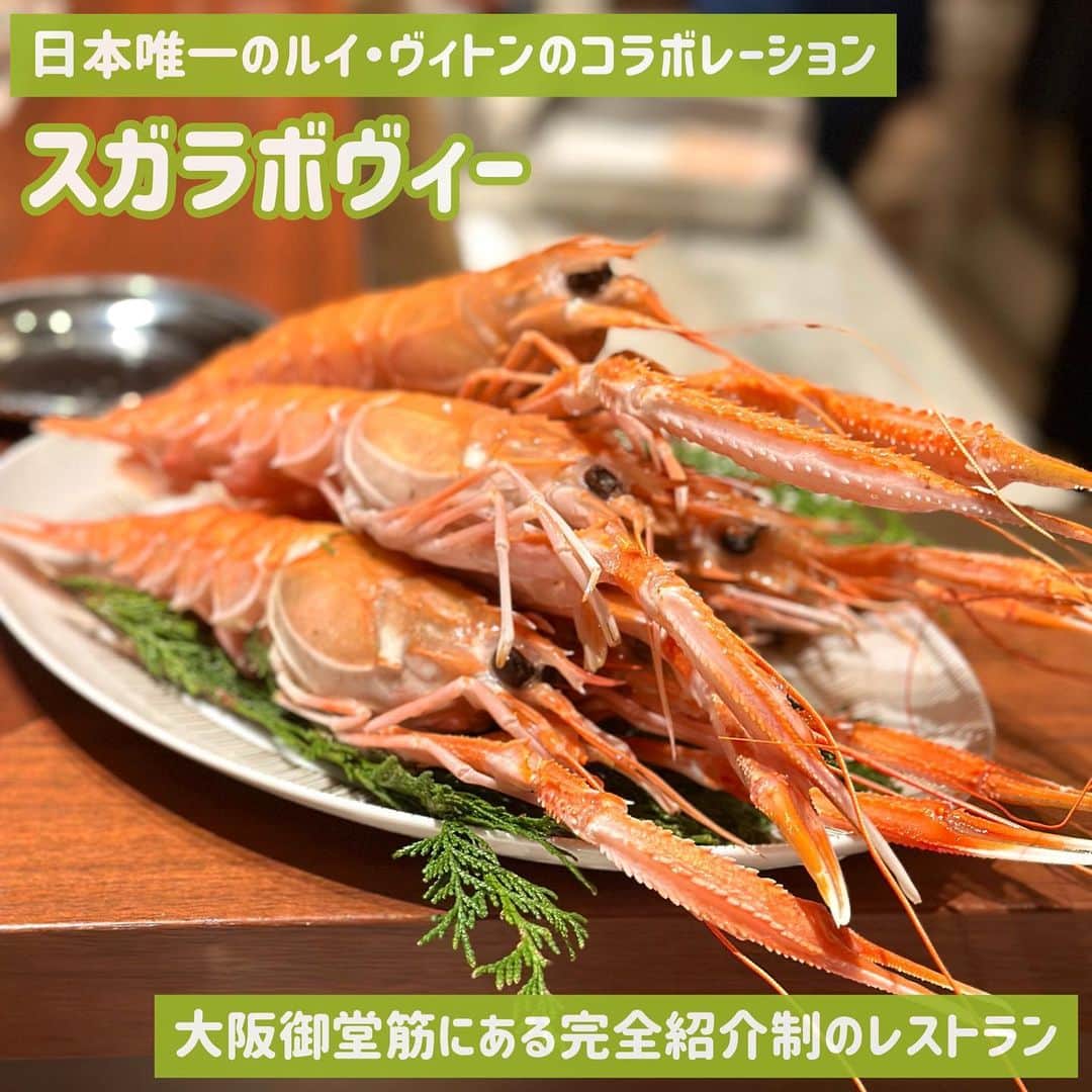 吉川ちかさんのインスタグラム写真 - (吉川ちかInstagram)「大阪旅行で彼が スガラボヴィーに 連れてってくれました🥹💓 ちえさんも良かったね✌️  日本唯一の、ルイ・ヴィトンのコラボレーション・レストランで 素敵な空間と素敵なお料理を楽しめる✌️  今回もボリュームたっぷりの フルコースでした🥂 誕生日🎂ケーキもありがとう🥹💓  #大阪旅行#大阪グルメ#大阪ディナー#スガラボヴィー#スガラボ大阪#お祝いありがとう」11月14日 2時03分 - yoshikawachika_1116