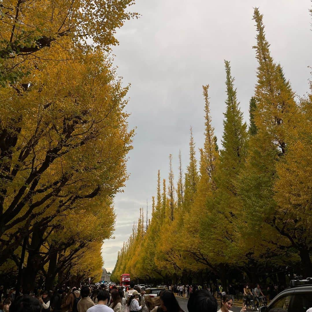 春風のインスタグラム：「🍁」