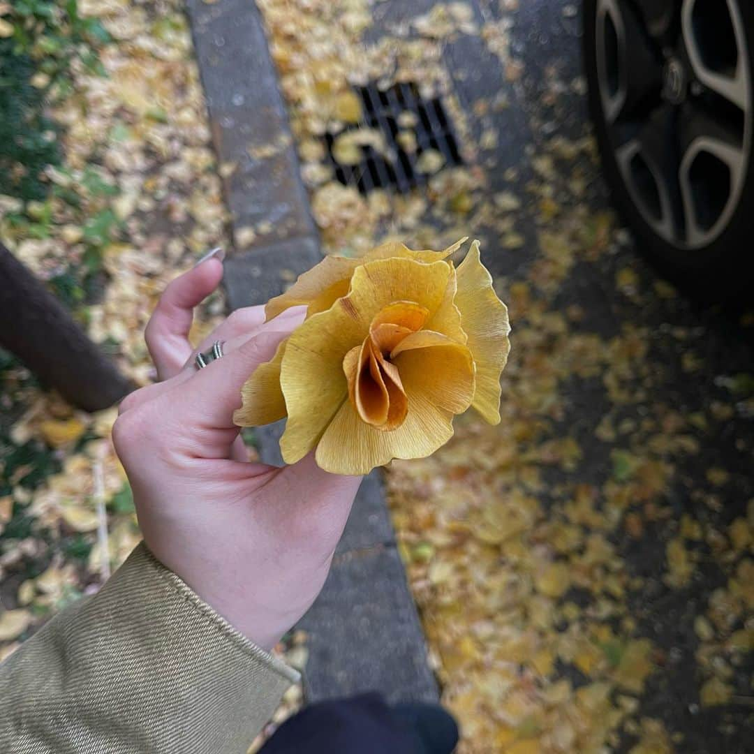 春風さんのインスタグラム写真 - (春風Instagram)「🍁」11月14日 18時37分 - haruka_2002