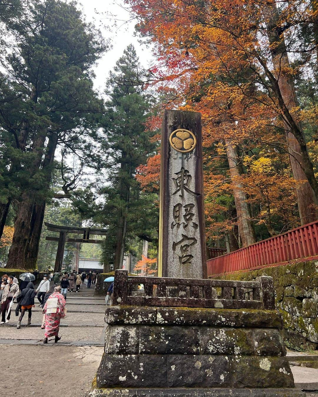 やよさーんさんのインスタグラム写真 - (やよさーんInstagram)「. 初めましての日光🍁⛩ 思ってたより寒くないしスイーツの町って感じ❤️‍🔥 行こうと思ってた滝のところは紅葉が終わってるらしくて行けなかったのでまたリベンジ🍁 ぷりんめちゃくちゃ美味しかった🥹今まで食べた中で1番美味しい🥹 . . #日光 #日光旅行 #日光観光 #日光プリン亭 #日光グルメ #日光食べ歩き #紅葉スポット #紅葉巡り #紅葉の季節 #紅葉見に行こうよう #紅葉2022 #紅葉コーデ #gyda #gydaコーデ #スキニー #スキニーコーデ #デニムコーデ #ロングブーツ #ギャルコーデ #fashionblogger #autumnoutfit #autumn」11月14日 10時51分 - yayosaan