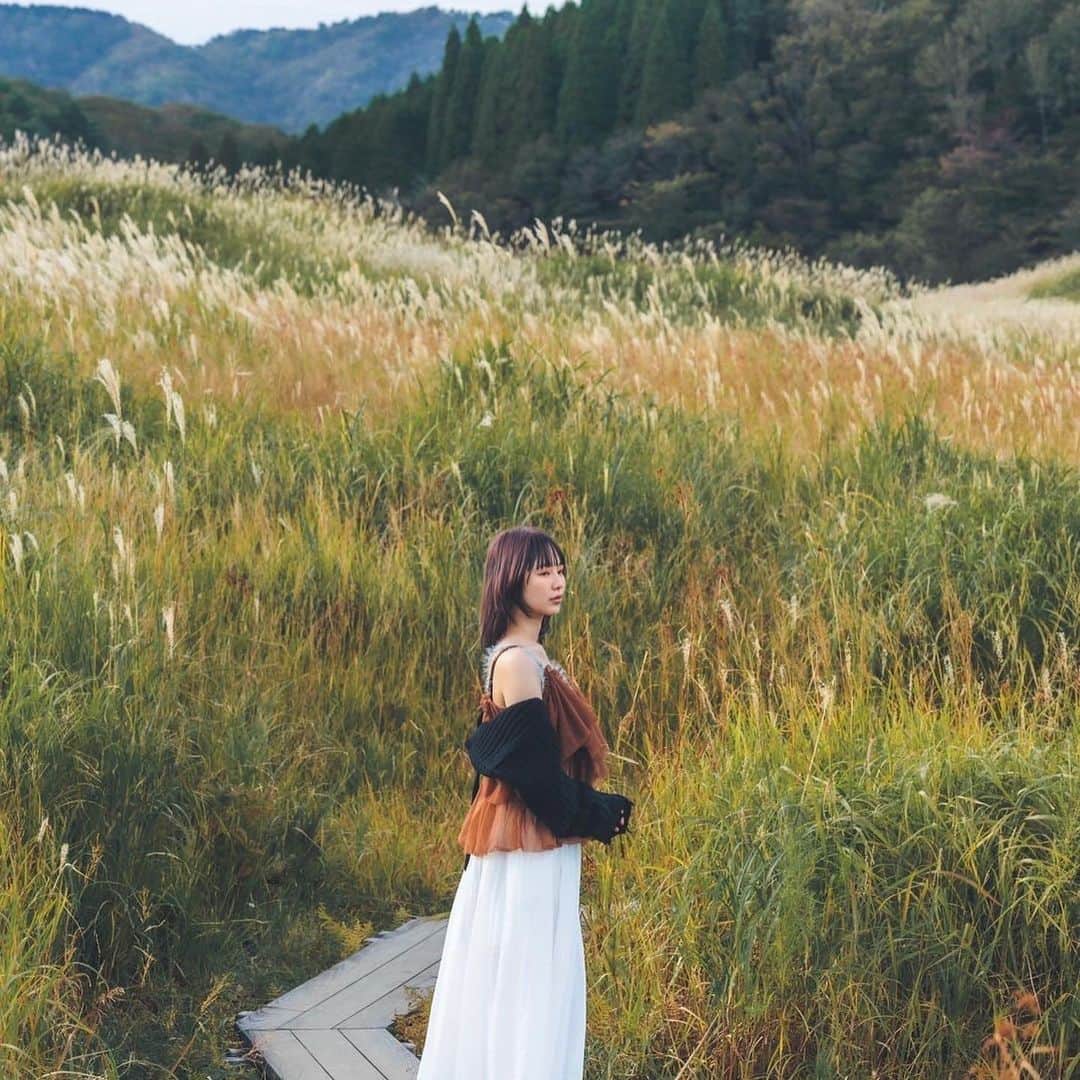 CHESTのインスタグラム：「.  ーta couleurー   2022a/w Flowind. Chest.  あした、髪は美しい。 　　　　　今、デザインを。  【direction】 takuma maekawa ami  【support】 mayu nozawa ryouske imai mina isobe  【model】  yuuki  natuki  moe  marie  【potographer】 rui okazaki  【costume support】 black out クラウンマーケット  【special support】 tani trading company  and special thx for everything   by  Flowind. Chest.」