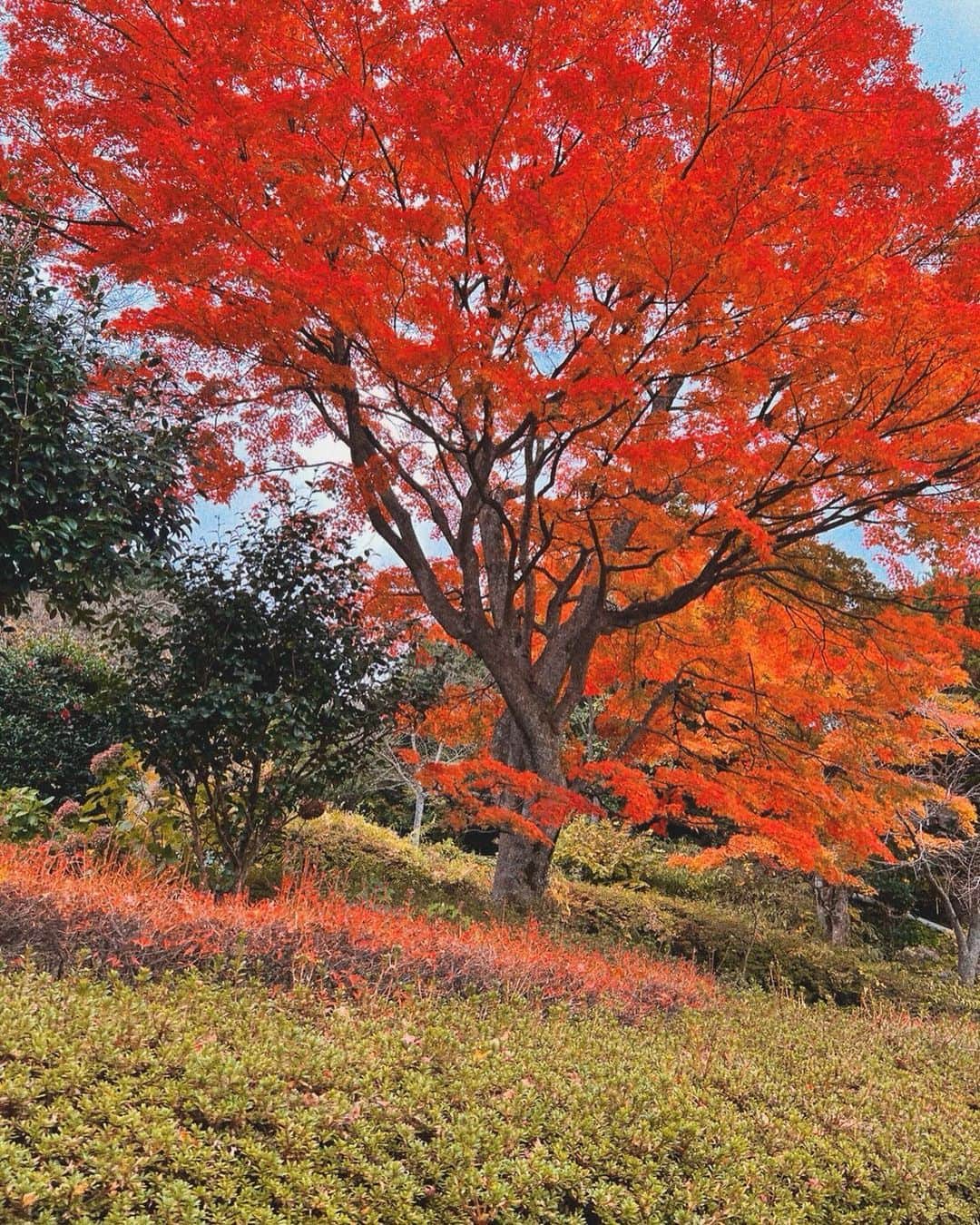 ベンジャミンさんのインスタグラム写真 - (ベンジャミンInstagram)「Getaway in Hakone for the weekend」11月14日 11時31分 - benjamin_dayo