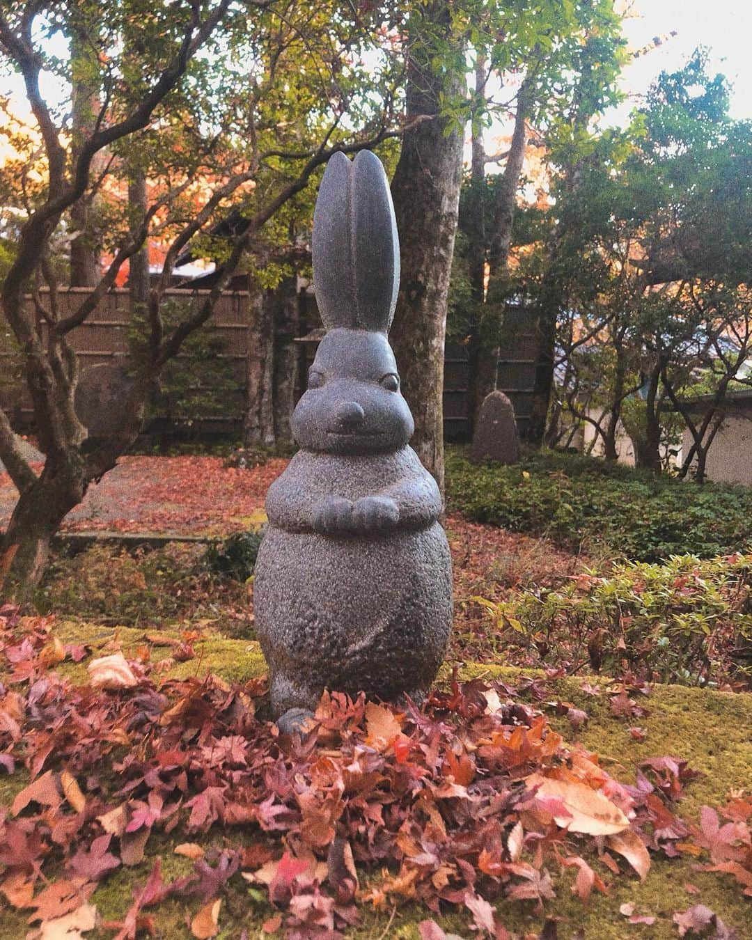 ベンジャミンさんのインスタグラム写真 - (ベンジャミンInstagram)「Getaway in Hakone for the weekend」11月14日 11時31分 - benjamin_dayo