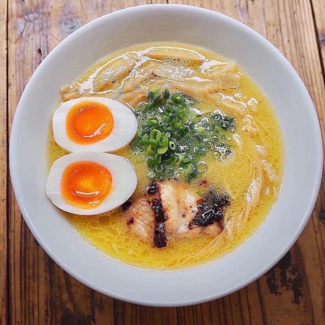 藤井舞さんのインスタグラム写真 - (藤井舞Instagram)「藤井、ラーメンオーナーになります！！！笑  ラーメン好きが高じて、1号店のねことふじいをリニューアルすることになりました！  店名は、、  ✨『OMORI鶏ぽたBASE』✨  人気ラーメン店THANKさんにプロデュースしていただきました☺️  無添加で身体にも良く、とろっとしたトリのポタージュスープは最後まで飲み干したくなること間違いなし💕  夜はラーメン居酒屋なので、美味しいおつまみとお酒を楽しんでから〆のラーメンを食べることができます🍜  本オープンは12月1日！ プレオープンももう少し枠があるので、遊びに来たい方お待ちしております！  #ラーメン新店  #ラーメン  #大森  #大森ラーメン  #東京ラーメン  #ラーメン好きな人と繋がりたい  #ラーメンだいすき」11月14日 13時22分 - fujii_mai_