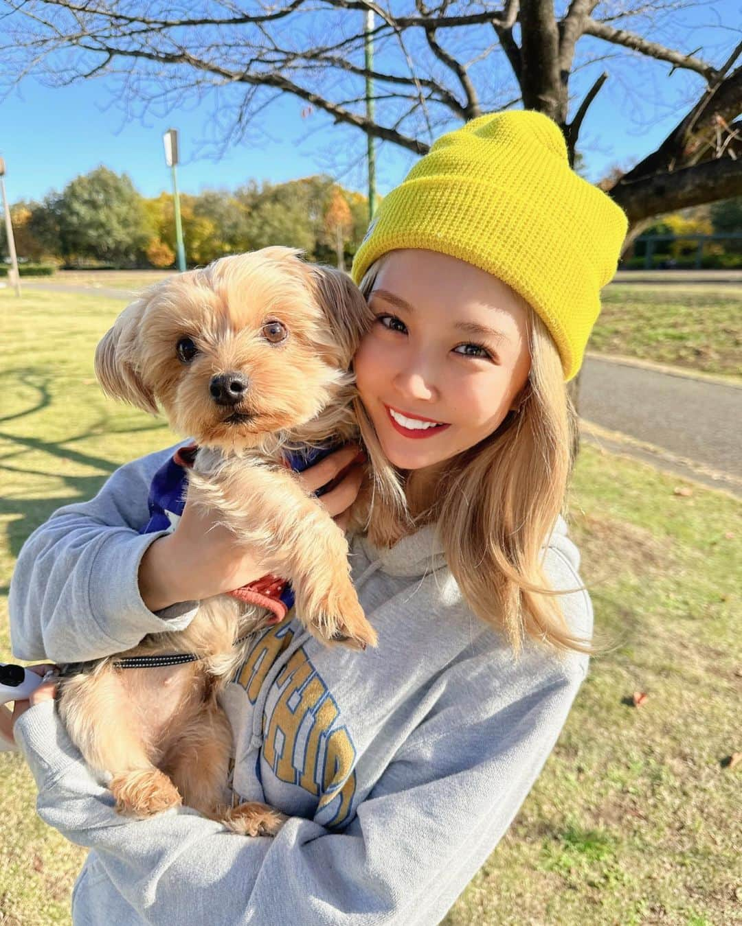 三宿菜々さんのインスタグラム写真 - (三宿菜々Instagram)「. お散歩🍂 ママがたくさん写真撮ってくれたので､､♡  ちょうどいい気候🌞✨🥰 #愛犬 #ヨークシャテリア #ヨーキーlove  #ヨーキーは身体がグレーで頭がゴールドなんだけど #気づいたら私も同じ色になってた」11月14日 15時19分 - mishuku_nana