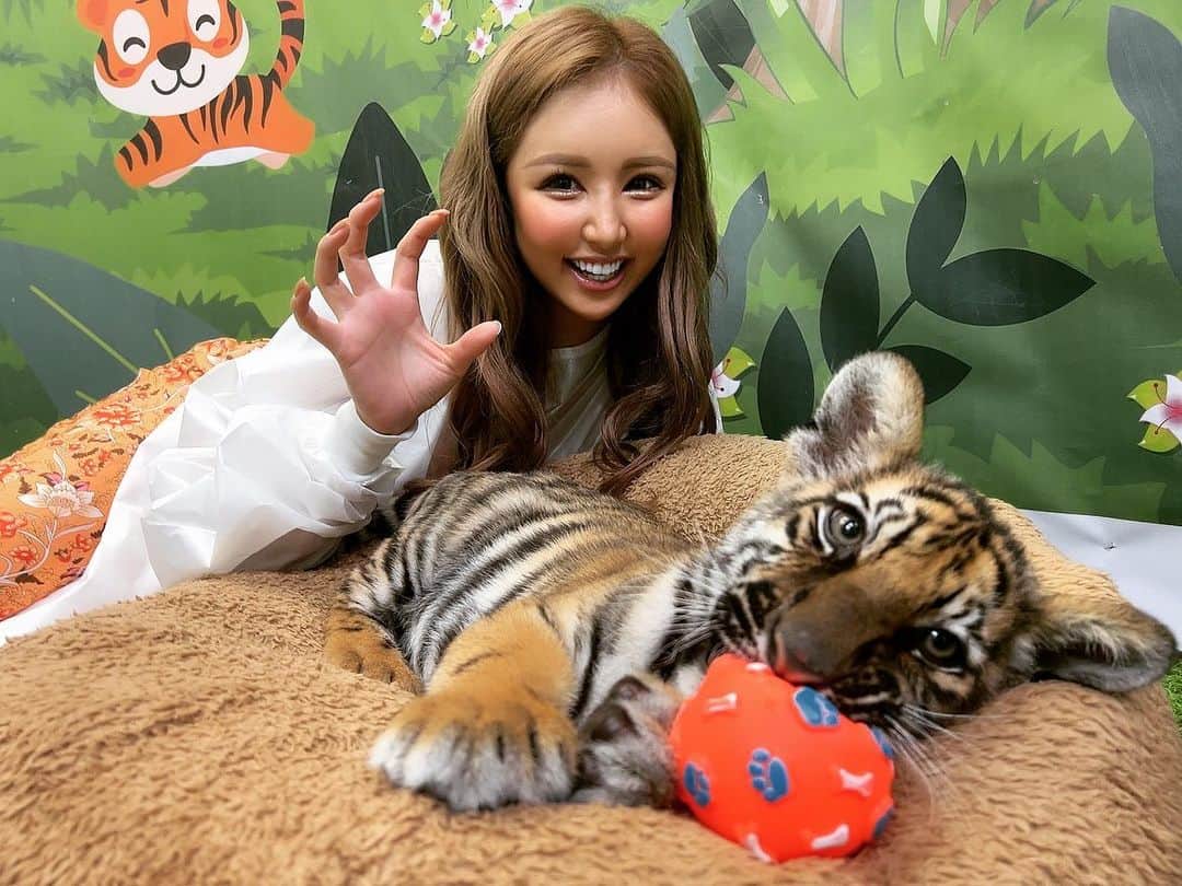藤咲ひなたのインスタグラム：「最強に可愛かった🐯ベイビー  #タイ  #虎  #トラ  #ベイビータイガー🐯  #tiger  #バンコク  #バンコク旅行」
