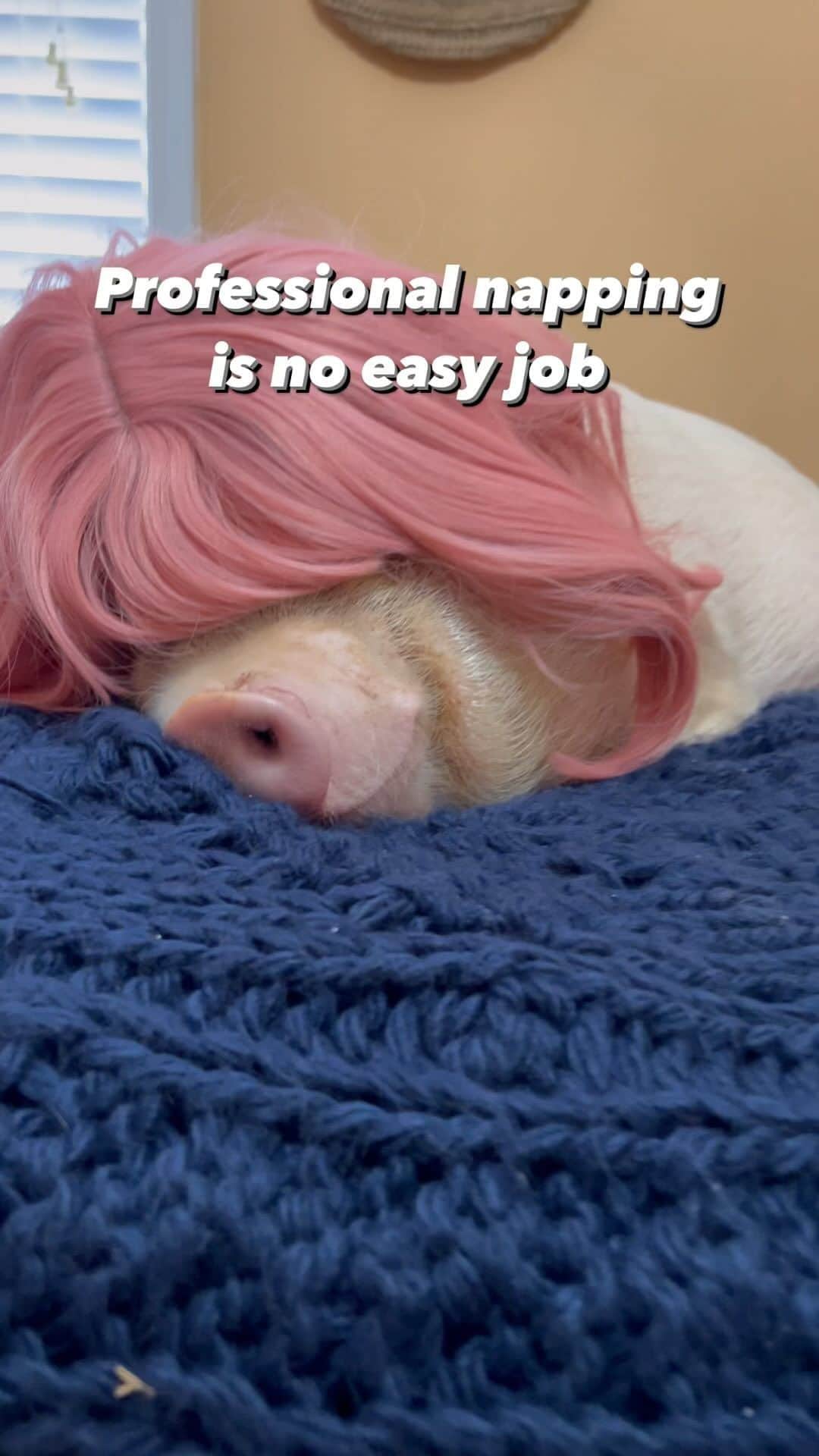 のインスタグラム：「It’s no easy job but someone gotta do it. 😜🐷」
