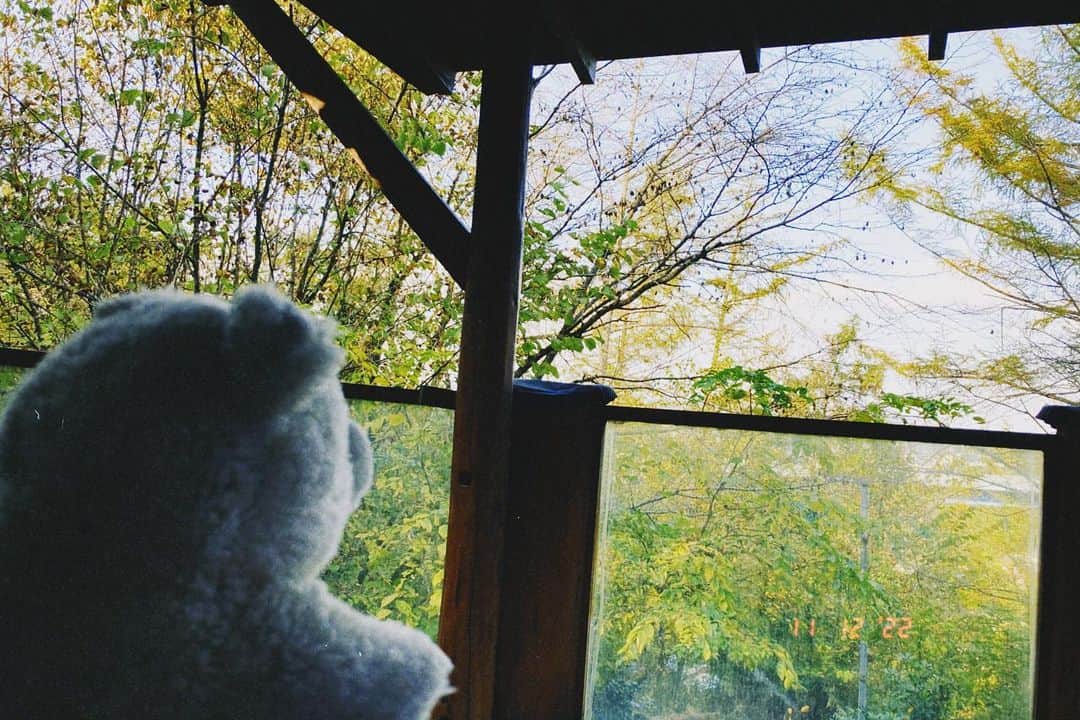 小明のインスタグラム：「やっぱ自然はいいですわ🐻‍❄️」