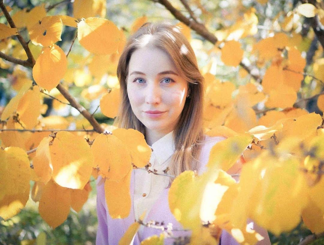 アシヤのインスタグラム：「🍂🍁☀️」