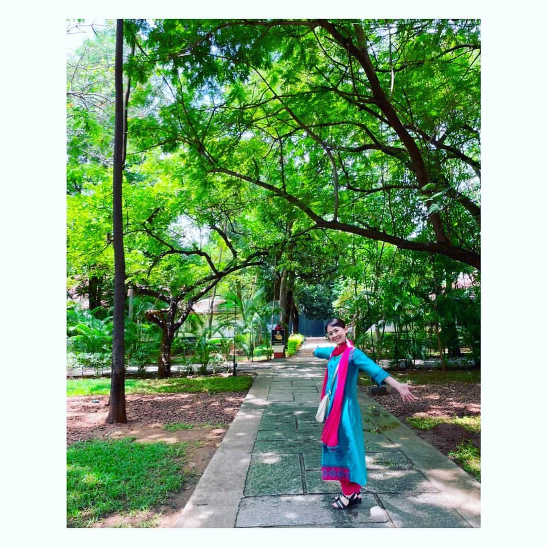 真野みづほさんのインスタグラム写真 - (真野みづほInstagram)「【Green🍃】 南インドのいろんな土地に行くけど、 地方のホテルはコテージみたいな造りのところも多くて、 緑いっぱいのキレイなところもたくさんある🥰🍃🫶🏻✨  ホテルの敷地内でアーユルヴェーダのマッサージも格安で受けられるし☺️💖  #india  #southindia  #japan  #travel  #agastya  #agasthya  #アガスティアの葉  #アーユルヴェーダ  #ayurveda」11月14日 20時24分 - mizuhomano