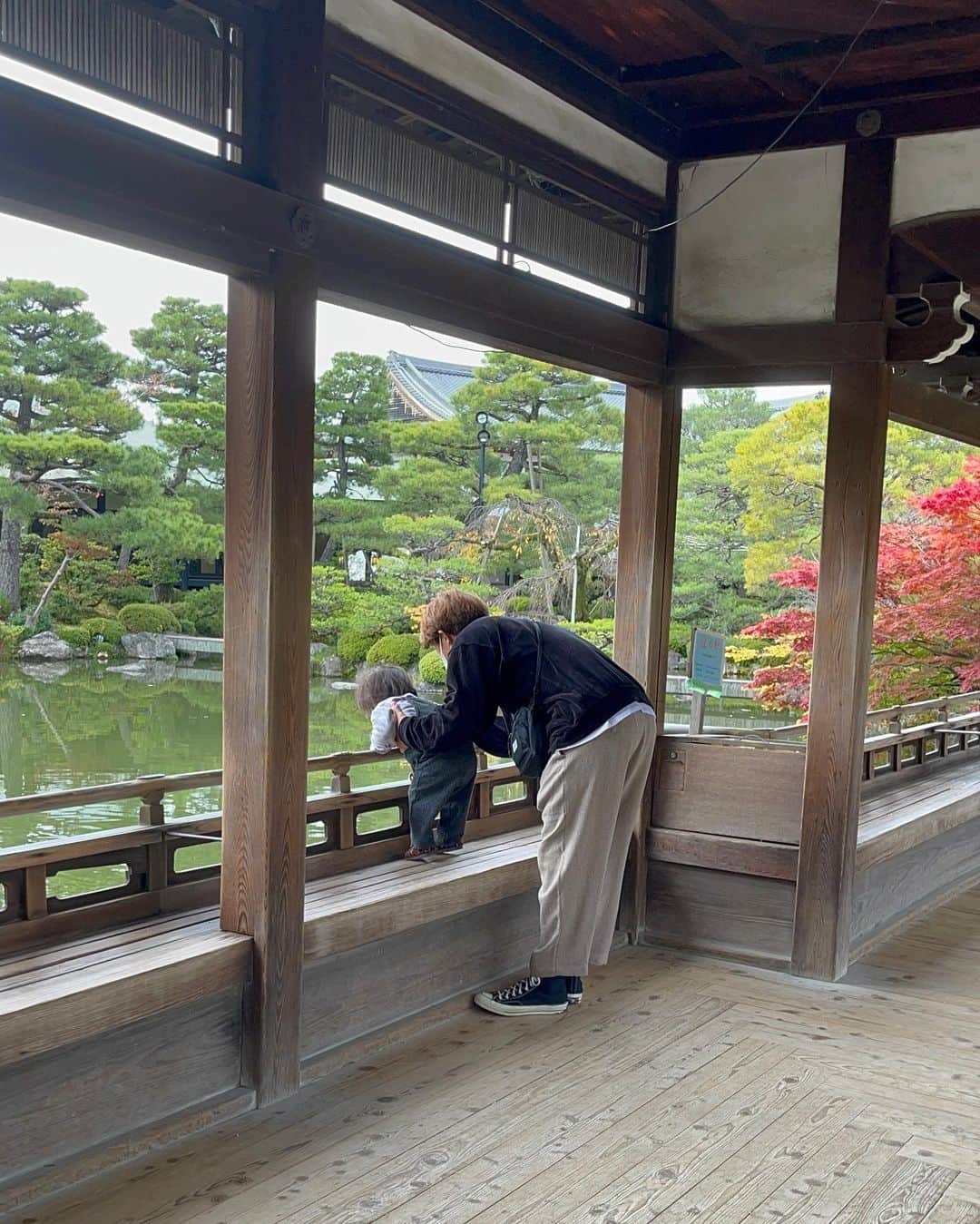 平戸太貴さんのインスタグラム写真 - (平戸太貴Instagram)「京都、奈良よきでした🍁🦌」11月14日 22時21分 - taiki.hirato_official