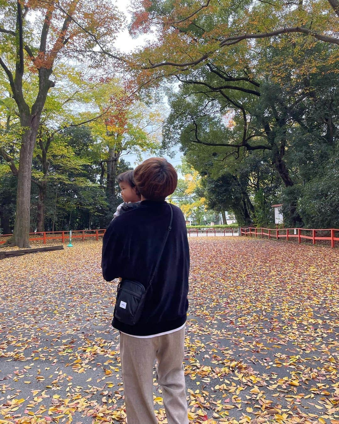 平戸太貴のインスタグラム：「京都、奈良よきでした🍁🦌」