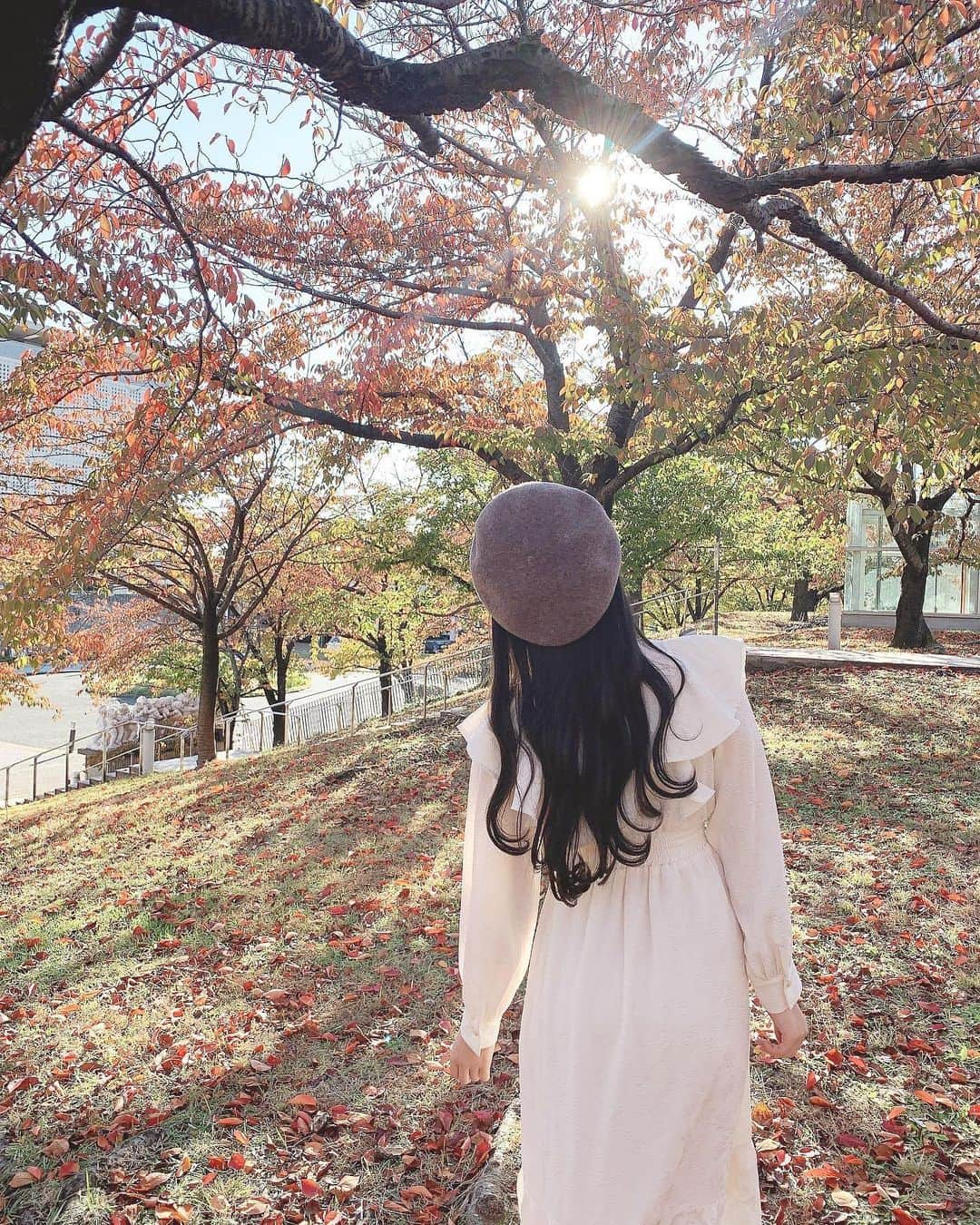 小熊倫実さんのインスタグラム写真 - (小熊倫実Instagram)「🍂🍂🍂 ⁡ ⁡ 壁紙やアイコンなどに いかが〜な写真たち👩🏻‍🎨🍂 ⁡ 今年も早いことに あっという間に11月ですね☺️💡 ⁡ のこり2ヶ月、今まで以上にさらに あっという間に感じるんだろうなあと 今から毎日そわそわとしています､､！ きっと忘れられない秋冬になりそうだ⛄️🧶 ⁡ いっっぱい素敵な思い出つくれますように💐 ⁡ ( 卒業のことまた改めてお知らせと一緒に近々投稿しますね💌 ) ⁡ photo by 🐥🫶🏻🤍 ⁡ #紅葉狩り #新潟白山神社 #🍂 #👩🏻‍🎨」11月14日 23時17分 - tsugumi_oguma2929