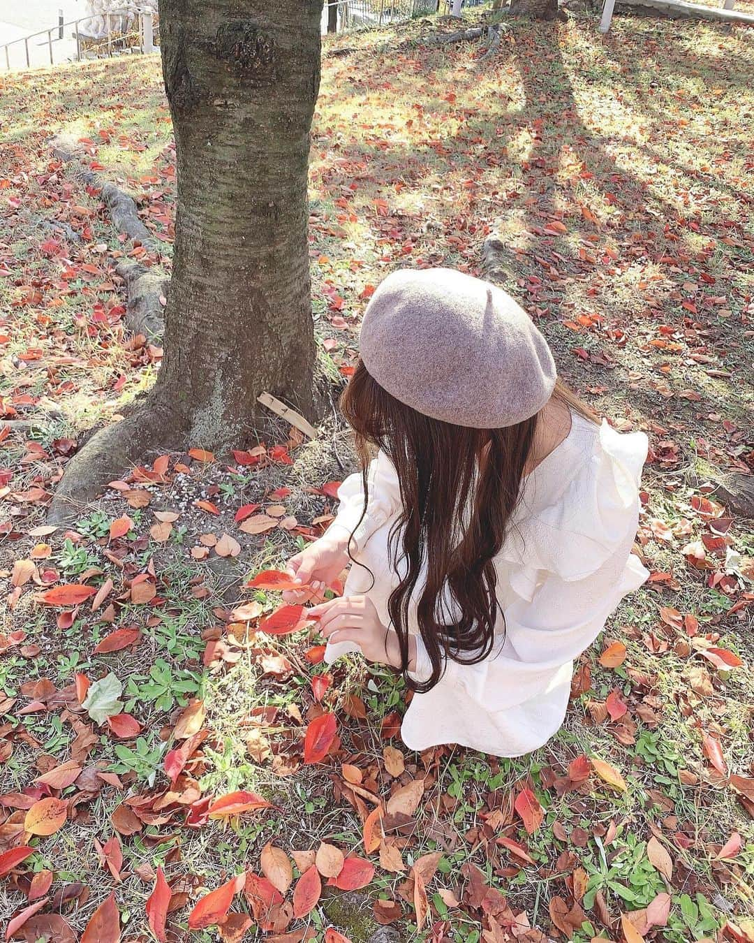 小熊倫実さんのインスタグラム写真 - (小熊倫実Instagram)「🍂🍂🍂 ⁡ ⁡ 壁紙やアイコンなどに いかが〜な写真たち👩🏻‍🎨🍂 ⁡ 今年も早いことに あっという間に11月ですね☺️💡 ⁡ のこり2ヶ月、今まで以上にさらに あっという間に感じるんだろうなあと 今から毎日そわそわとしています､､！ きっと忘れられない秋冬になりそうだ⛄️🧶 ⁡ いっっぱい素敵な思い出つくれますように💐 ⁡ ( 卒業のことまた改めてお知らせと一緒に近々投稿しますね💌 ) ⁡ photo by 🐥🫶🏻🤍 ⁡ #紅葉狩り #新潟白山神社 #🍂 #👩🏻‍🎨」11月14日 23時17分 - tsugumi_oguma2929