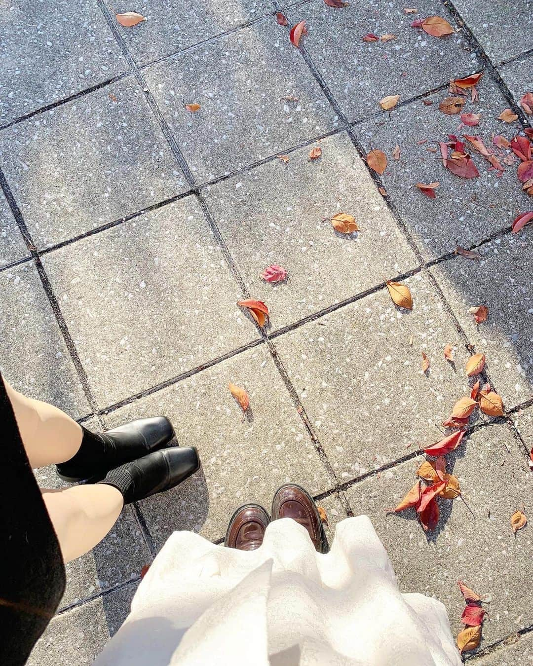 小熊倫実さんのインスタグラム写真 - (小熊倫実Instagram)「🍂🍂🍂 ⁡ ⁡ 壁紙やアイコンなどに いかが〜な写真たち👩🏻‍🎨🍂 ⁡ 今年も早いことに あっという間に11月ですね☺️💡 ⁡ のこり2ヶ月、今まで以上にさらに あっという間に感じるんだろうなあと 今から毎日そわそわとしています､､！ きっと忘れられない秋冬になりそうだ⛄️🧶 ⁡ いっっぱい素敵な思い出つくれますように💐 ⁡ ( 卒業のことまた改めてお知らせと一緒に近々投稿しますね💌 ) ⁡ photo by 🐥🫶🏻🤍 ⁡ #紅葉狩り #新潟白山神社 #🍂 #👩🏻‍🎨」11月14日 23時17分 - tsugumi_oguma2929