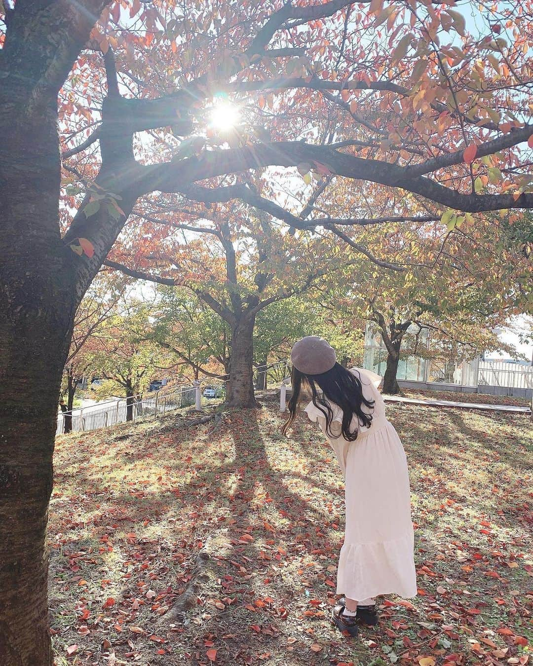 小熊倫実さんのインスタグラム写真 - (小熊倫実Instagram)「🍂🍂🍂 ⁡ ⁡ 壁紙やアイコンなどに いかが〜な写真たち👩🏻‍🎨🍂 ⁡ 今年も早いことに あっという間に11月ですね☺️💡 ⁡ のこり2ヶ月、今まで以上にさらに あっという間に感じるんだろうなあと 今から毎日そわそわとしています､､！ きっと忘れられない秋冬になりそうだ⛄️🧶 ⁡ いっっぱい素敵な思い出つくれますように💐 ⁡ ( 卒業のことまた改めてお知らせと一緒に近々投稿しますね💌 ) ⁡ photo by 🐥🫶🏻🤍 ⁡ #紅葉狩り #新潟白山神社 #🍂 #👩🏻‍🎨」11月14日 23時17分 - tsugumi_oguma2929