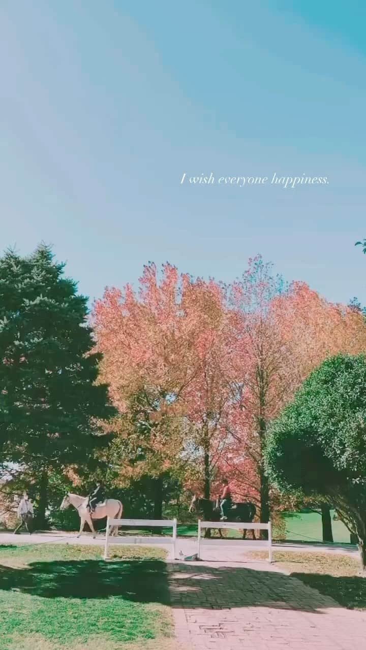 のインスタグラム：「大切な人たちの心に平和が訪れることを ずっとずっと祈ります。」