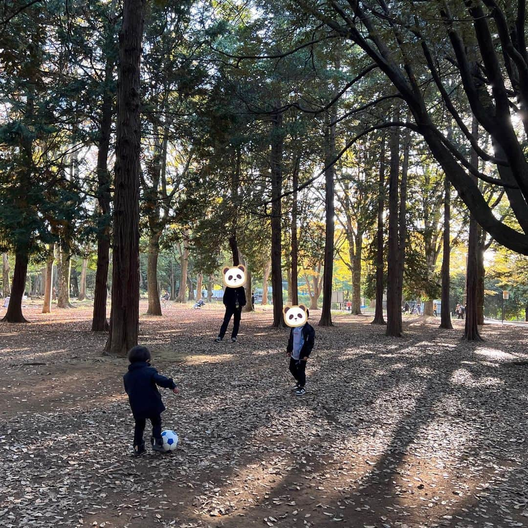 安田美沙子さんのインスタグラム写真 - (安田美沙子Instagram)「いつかのファミリーデー🌈  パパも忙しい時期で、こうして 家族で公園にいけるのはいつになるのかなぁ✨  うちの男子3人でサッカー⚽️する日がくるとは☺️  しかも、兄は放課後授業で習ってはいるのだけど、いざやってみると上手くなっててびっくり😭  いっちょまえの少年になって来たなぁ❤️  次男は、葉っぱで空を飛ぼうとしてます✈️  男子に囲まれてる日々✨  #family #park #boys #brothers #soccer #2yearsold  #5yearsold #次男のたくらみ顔🤣」11月15日 11時35分 - yasuda_misako