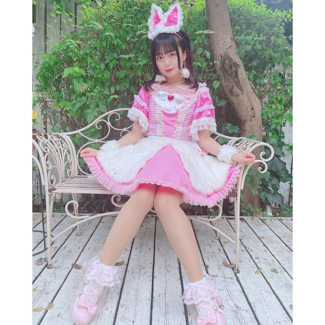 宇咲美まどかさんのインスタグラム写真 - (宇咲美まどかInstagram)「🐰🏰🤍💖 .  #idol #cosplay #costume #rabbit #cute #ootd #アイドル #コスプレ #アイドル衣装 #アイドル前髪 #うさぎ #うさぎ好き #うさぎ🐰 #instagood #instagram #instagramjapan #japanesegirl #japan #photography #photo #selfie #selflove」10月22日 19時38分 - __mdrin