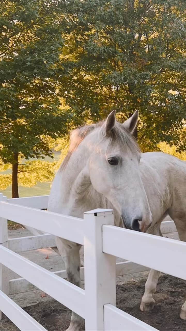 紗栄子のグルメインスタ