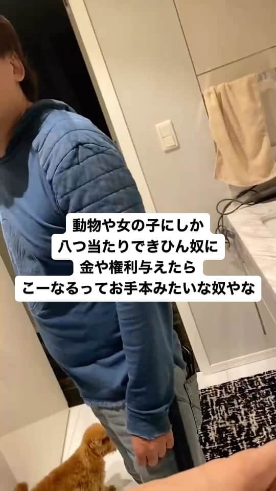 のインスタグラム：「女だけやなく、犬にあたるとか、ほんま終わっとる こんなやつに権利や金与えたら、迷惑かかる人間だらけや 5年くらいくさいメシ食うてきたら、自分もいじめられて真人間なるんちゃうかー  #ガーシー #GASYLE #バカ島 #MCJ」