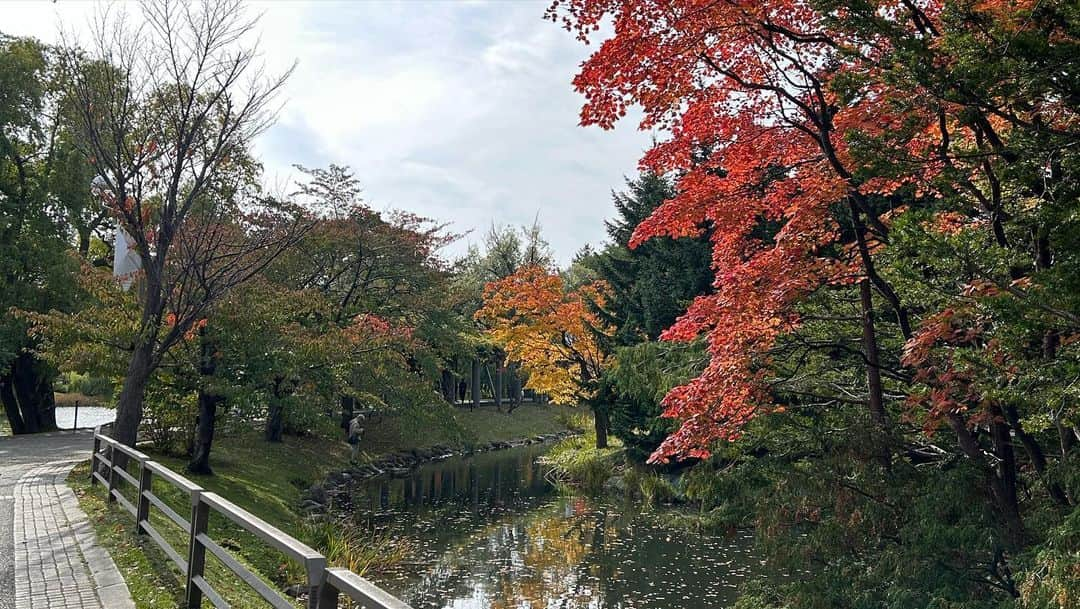 神田昭一さんのインスタグラム写真 - (神田昭一Instagram)「サイクリング日和②  #HTB #イチオシ #お天気 #札幌 #中島公園 #紅葉 #キツネ #気象予報士 #神田昭一」10月22日 14時01分 - shouichi_kanda