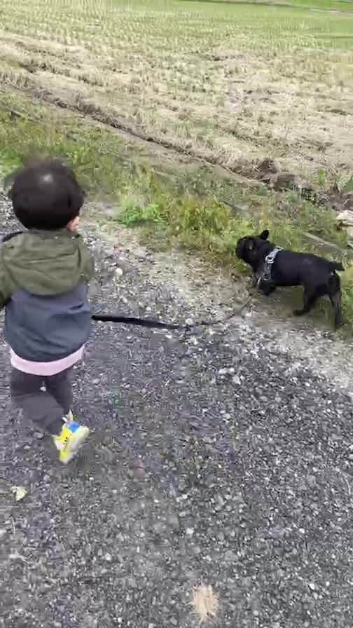 熊野準のインスタグラム：「息子の2度目のブヒ散歩」