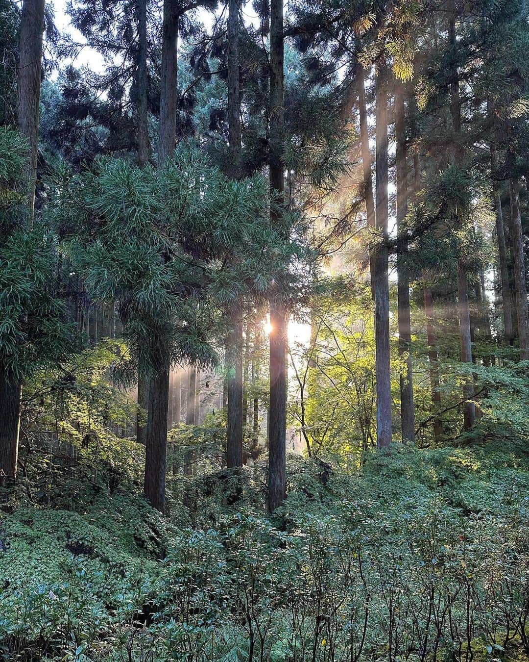 篠田麻里子さんのインスタグラム写真 - (篠田麻里子Instagram)「大好きな旅✨ 自然のおすそ分け🍁  #trip #姉妹」10月22日 18時58分 - shinodamariko3
