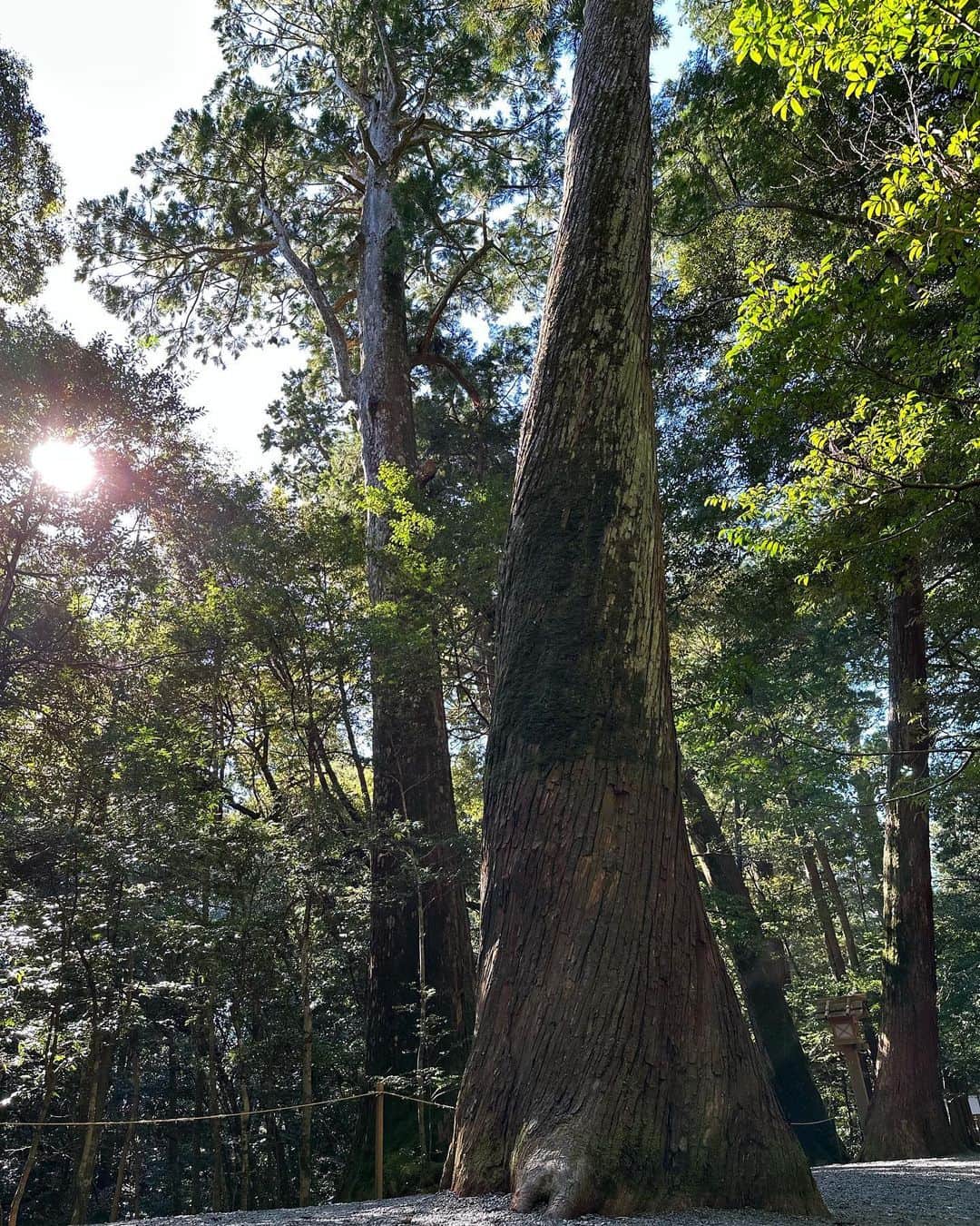 篠田麻里子さんのインスタグラム写真 - (篠田麻里子Instagram)「大好きな旅✨ 自然のおすそ分け🍁  #trip #姉妹」10月22日 18時58分 - shinodamariko3