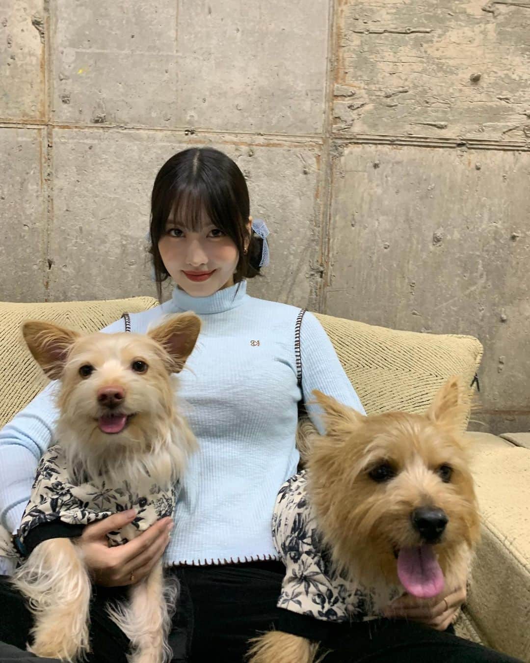 もものインスタグラム：「부도비🦖🤍🦕」