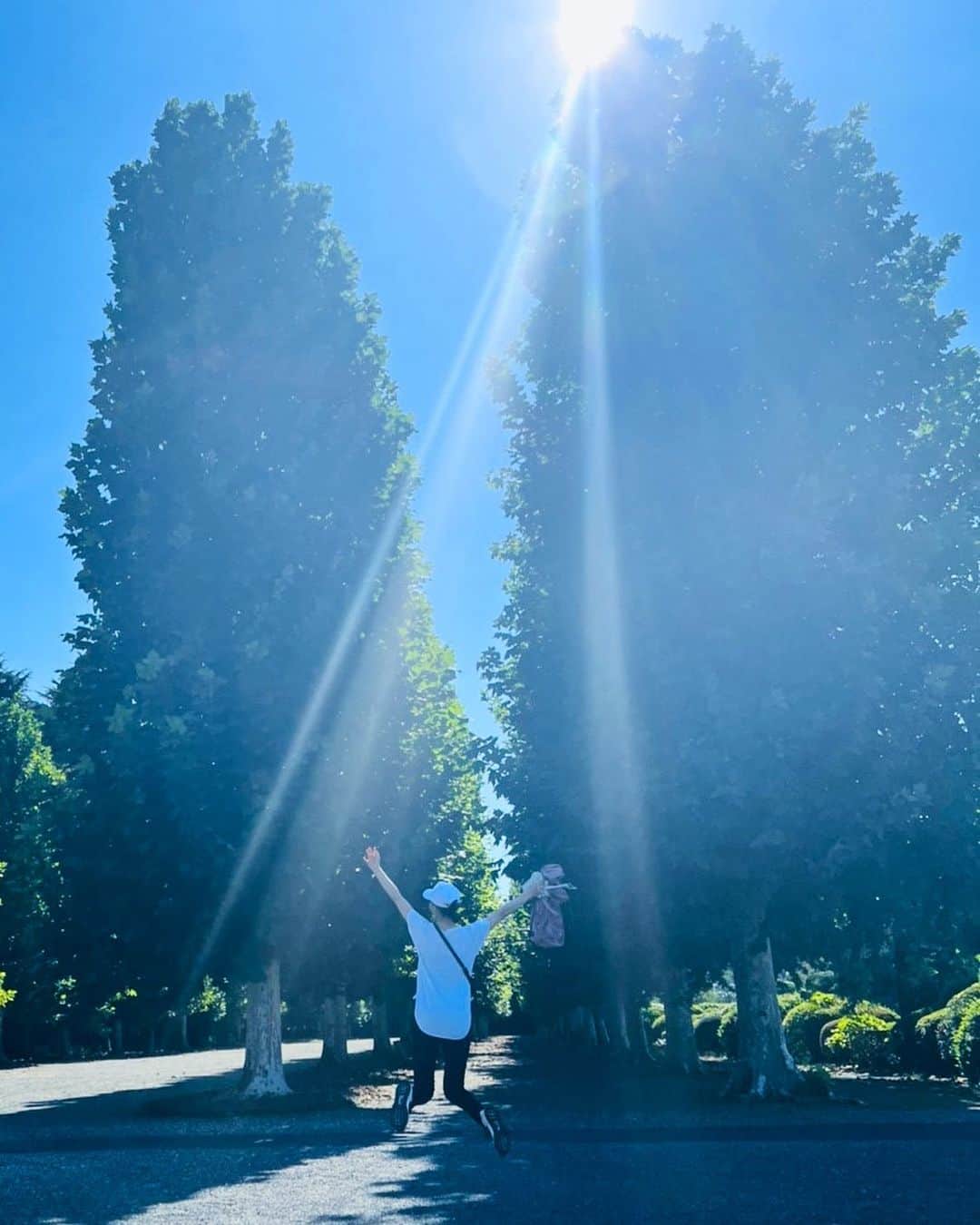 小西真奈美さんのインスタグラム写真 - (小西真奈美Instagram)「早朝に、 偶然飛んだら、 偶然撮ってくれていて、 偶然のすごい光。  何だか良いことがありそうです✨ 皆さんにも良いことがありますように。  #早朝 #散歩 #ランニング #ジャンプ #光 #☺️」10月23日 18時02分 - manami.official